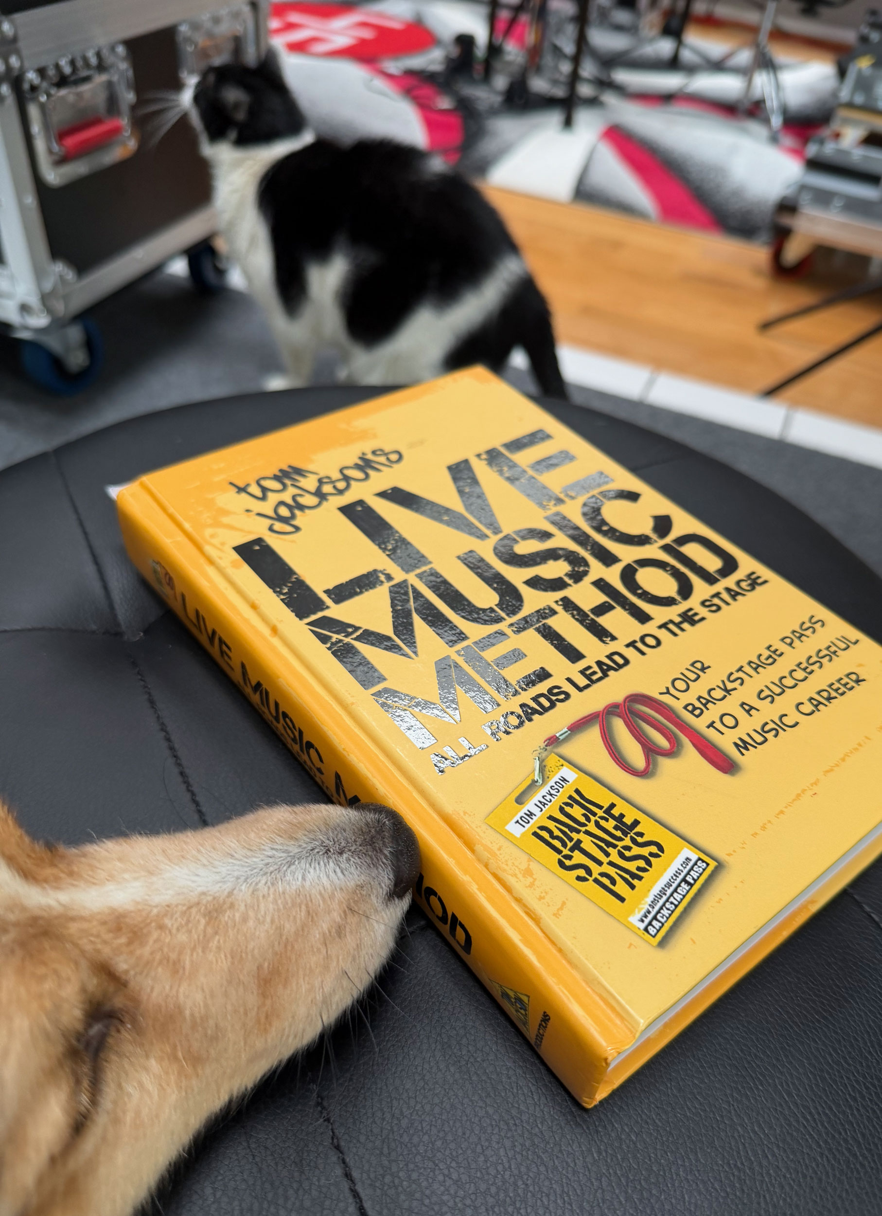 A lazy weekend at SodaPop House means time with Tucker, Patches and Tom Jackson’s Live Music Method—a reminder that unforgettable live shows are built through study, preparation and connection.
